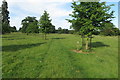 Bridleway to Cottisford