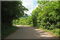 Lane near Peartree junction