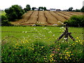 Tamlaght Townland