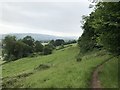 Field on the Cotswold Way