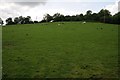 Field near Glan-yr-afon