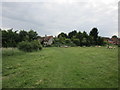 Sheep grazing at Middle Littleton