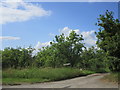 Farm entrance off Badsey Road