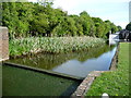 Contrasting overflows, Delph locks, Dudley Canal