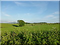 Farmland by the Kirkfield Burn