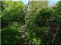 Path beside former site of Arkleston House