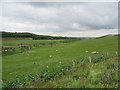 View south-west from above pond near Brackenrigg, Laurencekirk