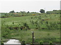 Ground beyond pond near Brackenrigg, Laurencekirk