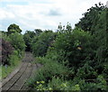 End of the Line,  Stratford-upon-Avon