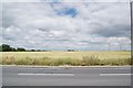 Farmland north of London Road, Rayleigh, 2018