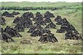 F6805 : Footstools  of drying peat cuttings by Mick Garratt
