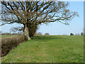 Footpath, Wineham