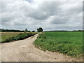 Fields at Kilnwick Percy