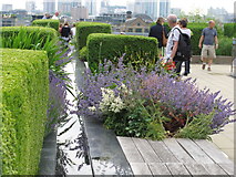 TQ3280 : Water feature, flower beds, topiary, Nomura roof garden by David Hawgood
