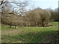 Pond and seat, Broadmare Common, Henfield