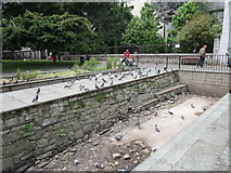 W6771 : Remains of Cork City Walls by Jonathan Thacker