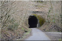 SX5364 : Shaugh Tunnel, south portal by N Chadwick
