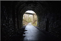 SX5364 : Looking out of Shaugh Tunnel by N Chadwick