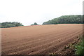 SO8542 : Seeded field below Barne's Rough by Bill Boaden