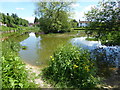 The pond at Matfield