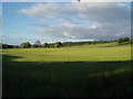 Powerline crossing field at Balrobert