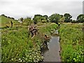 River Axe, from Knowle Bridge