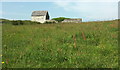 Barn near East Soar Farm