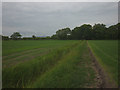 Footpath, Moss Side