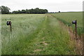 Bridleway to Fringford