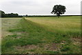 Bridleway to Fringford