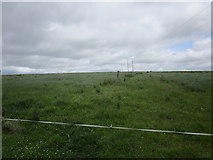 W5758 : Grass field at Knockmullane by Jonathan Thacker