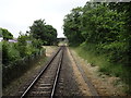 View from a Wareham-Swanage train - Back gardens near A351 bridge