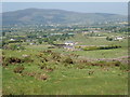 View across Killeen in the direction of the village of Meigh