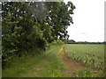 Public bridleway south of Nettleham (2)