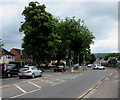 Twin pelican crossings, Priors Road, Cheltenham