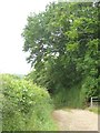 Farm track and footpath to Tidlake and Kempstown