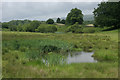 NS7477 : Pond and wetland beside the A803 by Richard Sutcliffe