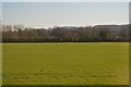 Field north of Stoke Canon