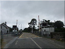 W2792 : Level crossing east of Millstreet station by Jonathan Thacker