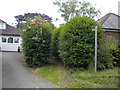 Public footpath off Craypool Lane, Scothern