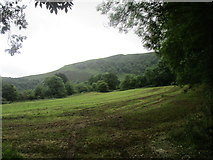 W2589 : Grass field below Claragh Mountain by Jonathan Thacker