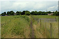 The Bronte Way heading towards Oakwell Hall