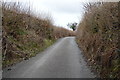 Devon sunken lane, Hoo Meavy