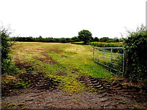 H5572 : Muddy entrance to field, Bracky by Kenneth  Allen