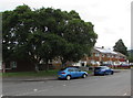 Trees and rooftop solar panels, Imjin Road,  Cheltenham