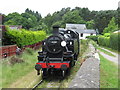 Dean Forest Railway near Whitecroft