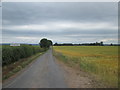 Lane to Rooker Hill Farm