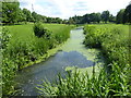 Lake in Marks Hall Park