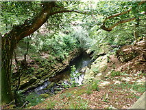 J3432 : A section of the Shimna River gorge above Foley's Bridge by Eric Jones
