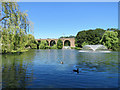 Chelmsford: viaduct, ducks and fountains